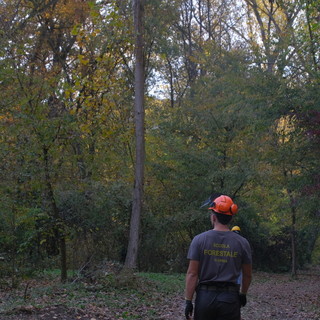 "Rigeneriamo la Bellezza": a Narzole riaprono i sentieri dell'eremita e le antiche strade romane "Rigeneriamo la Bellezza": a Narzole riaprono i sentieri dell'eremita e le antiche strade romane