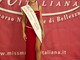 Da Vignolo al podio nazionale: Raffaella Giraudo è "Miss Mamma Italiana Eleganza 2026" Da Vignolo al podio nazionale: Raffaella Giraudo è "Miss Mamma Italiana Eleganza 2026"