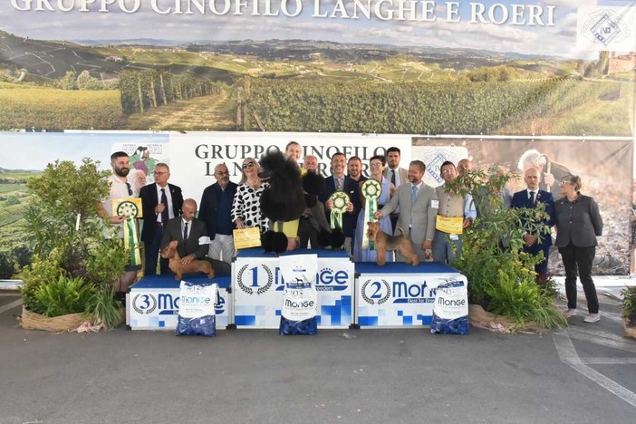 A Bra sfilano i cani di tutte le razze: torna la grande esposizione cinofila in piazza Giolitti A Bra sfilano i cani di tutte le razze: torna la grande esposizione cinofila in piazza Giolitti
