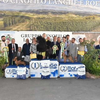 A Bra sfilano i cani di tutte le razze: torna la grande esposizione cinofila in piazza Giolitti