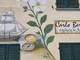 A Santa Vittoria d’Alba il botanico Bertero diventa "street art"