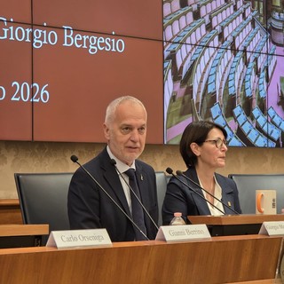L'intervento del senatore Giorgio Maria Bergesio