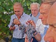 Nelle foto alcuni momenti della giornata organizzata a Barolo Nelle foto alcuni momenti della giornata organizzata a Barolo