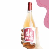 DEVIN0, a Castagnito il lancio del progetto transfrontaliero Italia-Francia sulla dealcolizzazione del vino DEVIN0, a Castagnito il lancio del progetto transfrontaliero Italia-Francia sulla dealcolizzazione del vino