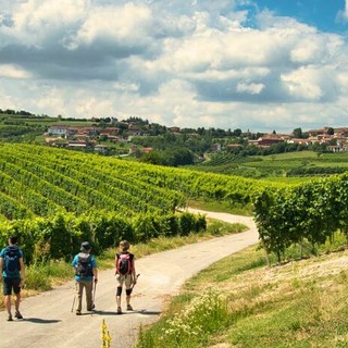 Ad Alba si presenta "AltraVia", il cammino che parte da Torino e raggiunge il mare di Savona attraversando le Langhe