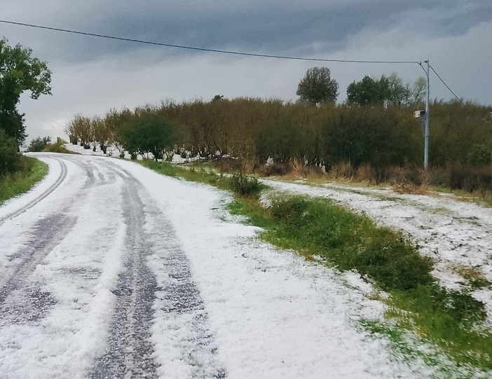 Grandine a Mango (foto dalla pagina Facebook Meteo Piemonte (https://www.facebook.com/meteopiemonteofficial) Grandine a Mango (foto dalla pagina Facebook Meteo Piemonte (https://www.facebook.com/meteopiemonteofficial)