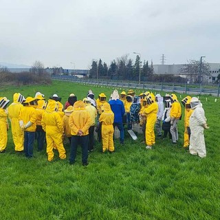 Aspromiele apre le porte dell'apicoltura: corso gratuito per imparare ad allevare le api