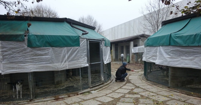 Il canile intercomunale di Pollenzo Il canile intercomunale di Pollenzo