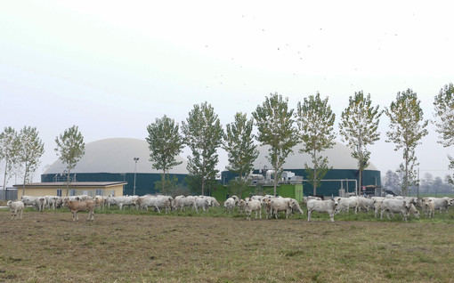 Impianto a biogas nelle campagne della provincia di Cuneo