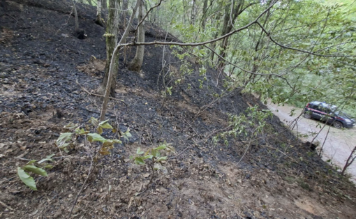 Denunciato volontario Aib: è ritenuto responsabile di nove incendi boschivi dolosi appiccati tra Monregalese e Valle Pesio Denunciato volontario Aib: è ritenuto responsabile di nove incendi boschivi dolosi appiccati tra Monregalese e Valle Pesio