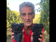 "Non siamo più la Malora della povertà, ma siamo la Malora degli incidenti nei vigneti" "Non siamo più la Malora della povertà, ma siamo la Malora degli incidenti nei vigneti"