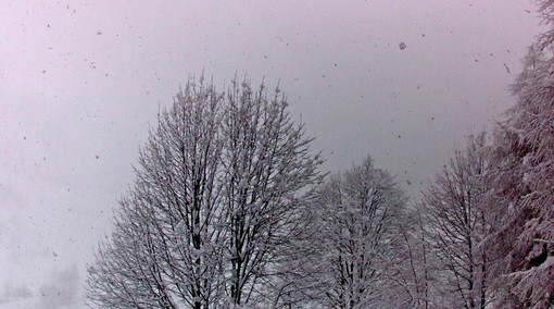 Immagine dalla webcam del Comune di Castelmagno