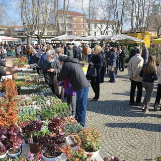 Una passata edizione della Fiera