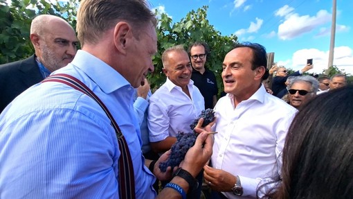 Il ministero Lollobrigida col governatore Cirio nel vigneto dell'azienda Sandrone Il ministero Lollobrigida col governatore Cirio nel vigneto dell'azienda Sandrone