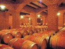 "La distillazione straordinaria può essere utile, ma serve un piano di rilancio del vino piemontese" "La distillazione straordinaria può essere utile, ma serve un piano di rilancio del vino piemontese"