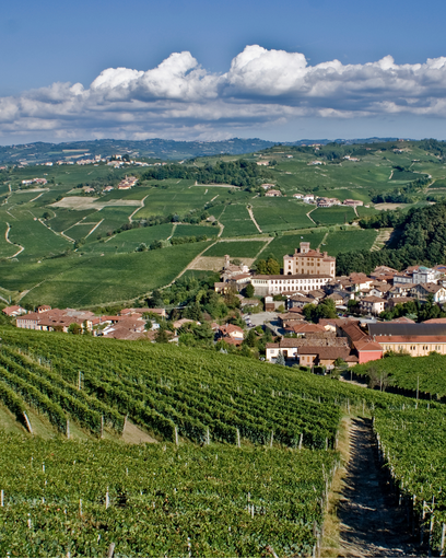 Una veduta di Barolo col suo castello Una veduta di Barolo col suo castello