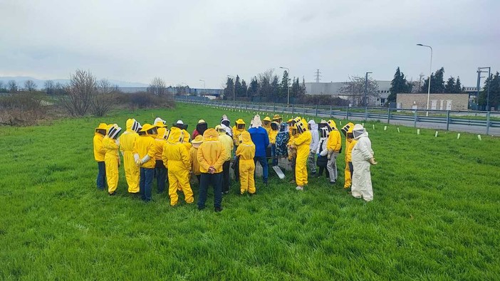 Aspromiele apre le porte dell'apicoltura: corso gratuito per imparare ad allevare le api