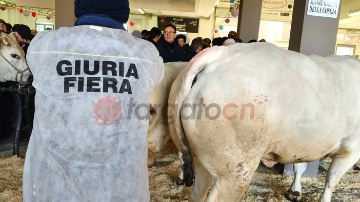 Il paese torna a essere capitale della zootecnia piemontese e custode di un’eredità che non smette di affascinare