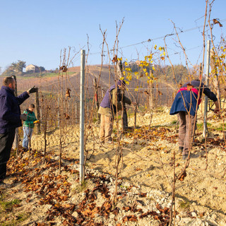 Il progetto “8Pari” della cooperativa sociale Progetto Emmaus è stato recentemente insignito a Roma del premio nazionale “Coltiviamo agricoltura sociale”