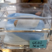 Al Santa Croce lo speciale presepe della Terapia Intensiva Neonatale: "Da noi è già nato" Al Santa Croce lo speciale presepe della Terapia Intensiva Neonatale: "Da noi è già nato"