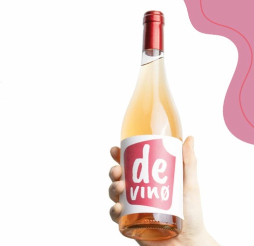 DEVIN0, a Castagnito il lancio del progetto transfrontaliero Italia-Francia sulla dealcolizzazione del vino