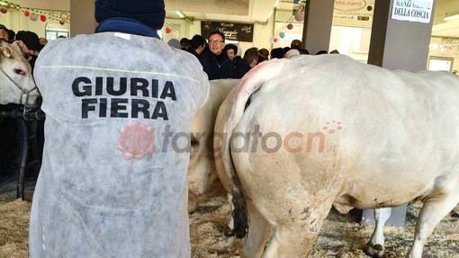 Il paese torna a essere capitale della zootecnia piemontese e custode di un’eredità che non smette di affascinare