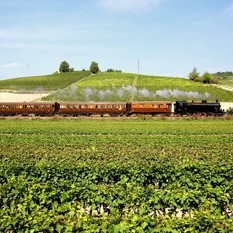 Treni storici, in autunno la linea Milano-Alba per la stagione del tartufo Treni storici, in autunno la linea Milano-Alba per la stagione del tartufo