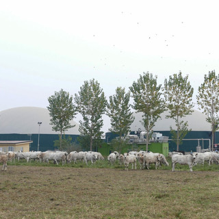 Impianto a biogas nelle campagne della provincia di Cuneo