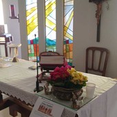 Primule della Giornata della Vita alla Casa di Riposo di Monforte