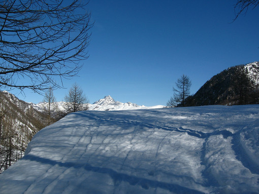 Coldiretti Piemonte –Natale: vincono le vacanze patriottiche