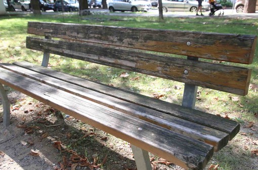 "La mia cagnetta intossicata dall’hashish dopo una sgambata al Parco della Resistenza"