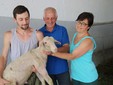 La famiglia Ghibaudo con una pecora dell'allevamento