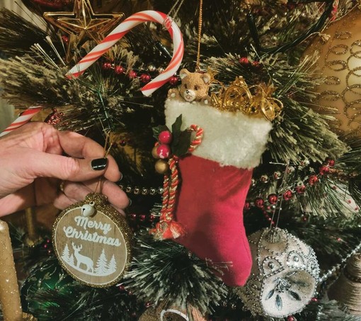 Auguri dal Caffè letterario di Bra con Mai baciare un uomo con una renna sul maglione