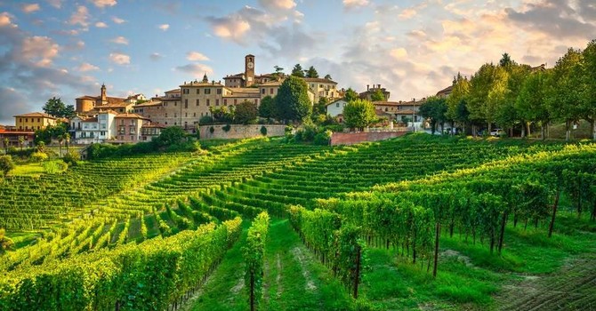 A Neive un  progetto per una nuova palestra nel centro sportivo: "Uno spazio anche per l'Arte Bianca"