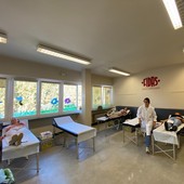 A Gallo Grinzane, doppio appuntamento Fidas per la donazione di sangue: due mattinate dedicate alla solidarietà A Gallo Grinzane, doppio appuntamento Fidas per la donazione di sangue: due mattinate dedicate alla solidarietà