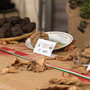 Il Centro Nazionale Studi Tartufo collaborerà con La Fiera Internazionale del tartufo bianco di Morisengo (credito Debora Lombardi)