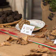 Il Centro Nazionale Studi Tartufo collaborerà con La Fiera Internazionale del tartufo bianco di Morisengo (credito Debora Lombardi)