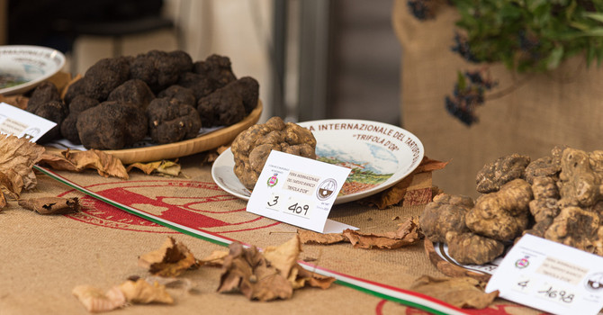Il Centro Nazionale Studi Tartufo collaborerà con La Fiera Internazionale del tartufo bianco di Morisengo (credito Debora Lombardi) Il Centro Nazionale Studi Tartufo collaborerà con La Fiera Internazionale del tartufo bianco di Morisengo (credito Debora Lombardi)
