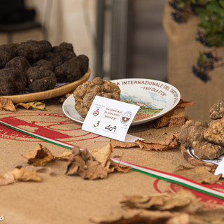 Il Centro Nazionale Studi Tartufo collaborerà con La Fiera Internazionale del tartufo bianco di Morisengo (credito Debora Lombardi)