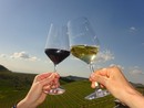 Effetto nuovo Codice della strada, quasi un italiano su due potrebbe ridurre le uscite al bar