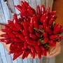 Tutti i benefici del peperoncino: piccante e salutare Tutti i benefici del peperoncino: piccante e salutare
