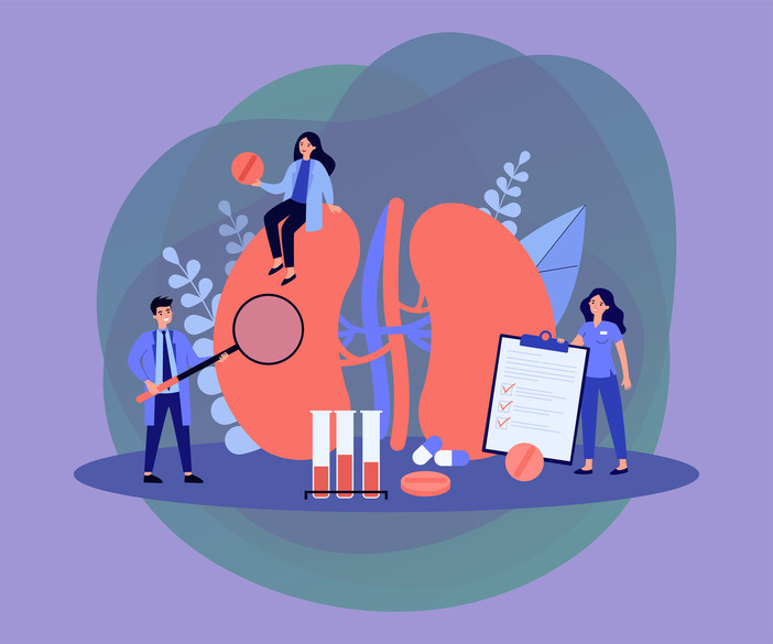 Giornata Mondiale del Rene: screening gratuiti a Verduno, Alba e Bra