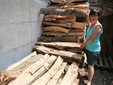 Milena con la legna da ardere prima di essere tagliata