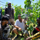 Accademia della Vigna 2026: aperte le nuove adesioni per il sistema produttivo vitivinicolo di Langhe e Roero