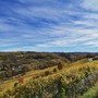 L'autunno colora i vigneti delle Langhe L'autunno colora i vigneti delle Langhe
