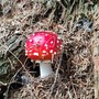 Un esemplare di Amanita Muscaria, non commestibile Un esemplare di Amanita Muscaria, non commestibile