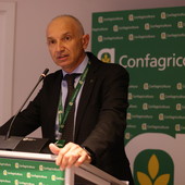 Enrico Allasia, presidente provinciale e regionale di Confagricoltura Enrico Allasia, presidente provinciale e regionale di Confagricoltura