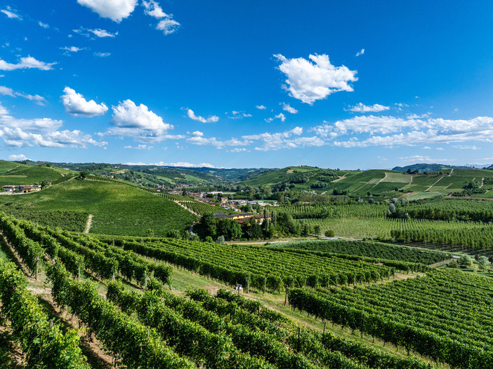 Una veduta delle colline che circondano Grinzane Cavour, nelle Langhe (Archivio Paesaggi Vitivinicoli - Lavezzo Studios)