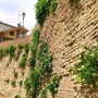 Viviamo in un posto bellissimo sempre più fotografato