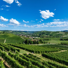 Una veduta delle colline che circondano Grinzane Cavour, nelle Langhe (Archivio Paesaggi Vitivinicoli - Lavezzo Studios)